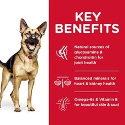 Hill's Science Diet Dry Dog Food, Large Breed Adult 6+ Senior, Chicken, Barley & Rice Recipe, 33 Lb. Bag -Zoo Shop 51OhVrXI6kL