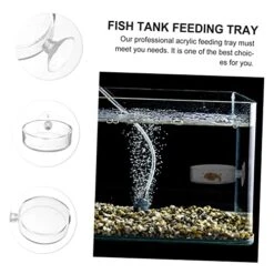 EVANEM 5pcs Aerial Feeding Bowl Vessel Tools Auto Feeder Fish Feeding Cup Acrylic Fish Feeder Fish Tank Feeding Ring Shrimp Feeder Bowl Aquarium Fish Food Container Fish Feeder Food Plant -Zoo Shop 51OhtXai88L