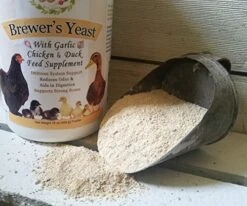 Fresh Eggs Daily Brewer's Yeast With Garlic Powder And Niacin For Ducks Feed Supplement Vitamins For Backyard Chickens 1LB -Zoo Shop 51OpPAHytAL