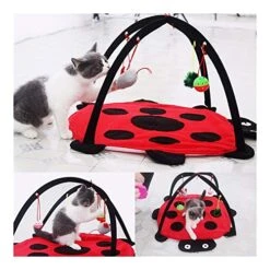 YangYan Foldable Kitten Tents Funny Pet Cat Tent Toys Pets Play Bed Toys Cat Play Mat Blanket House With Hanging Toy Cute Beetle Shape (Color : Red) -Zoo Shop 51OseNxMbeL