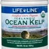 Life Line Pet Nutrition Organic Ocean Kelp Supplement For Skin & Coat, Digestion In Dogs & Cats,16oz, 20101 -Zoo Shop 51Oyn8V6SZL