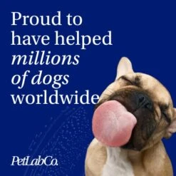 PetLab Co. 22 In 1 Dog Multivitamin - Support Dog's Immune Response, Skin, Coat, Joints & Overall Health - Vitamins A, E, D, B12, Minerals, Antioxidants - Chewable Pork Flavor 9 PetLab Co. 22 In 1 Dog Multivitamin - Support Dog's Immune Response, Skin, Coat, Joints & Overall Health - Vitamins A, E, D, B12, Minerals, Antioxidants - Chewable Pork Flavor -Zoo Shop 51PAEn15pqL