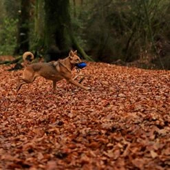 Dibea Dog Food Bag Dog Training Pouch Portable Dog Treat Bag Snack Bag Dogs Blue 13 Dibea Dog Food Bag Dog Training Pouch Portable Dog Treat Bag Snack Bag Dogs Blue -Zoo Shop 51PELmY8g4L