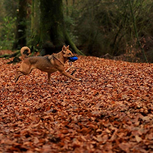 Dibea Dog Food Bag Dog Training Pouch Portable Dog Treat Bag Snack Bag Dogs Blue 5 Dibea Dog Food Bag Dog Training Pouch Portable Dog Treat Bag Snack Bag Dogs Blue - Image 3