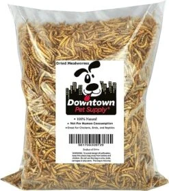 Downtown Pet Supply 2 LB Dried Mealworms For Wild Birds, Poultry, Reptiles, And Small Mammals Rich In Vitamin B12, B5, Protein, Fiber, Omega 3 Fatty Acids - Great As Mealworms For Chicken -Zoo Shop 51PQENDzs7L. AC