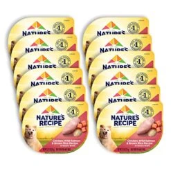 Nature's Recipe Wet Dog Food, Chicken & Wild Salmon In Broth Recipe, 2.75 Ounce Cup (Pack Of 12)