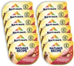 Nature's Recipe Wet Dog Food, Variety Pack, 2.75 Ounce Cup (Pack Of 24) -Zoo Shop 51Pa4JIUFQL. AC
