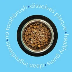 Dental Health Powder For Dogs And Cats, Natural Pet Supplement By InClover, BioBrilliant Dog And Cat Teeth Treat, Helps Dental Health, Daily Supplement For Pets, Natural Whey Goat Milk, Sweeten Breath -Zoo Shop 51PwGyBBuOL