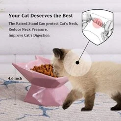 Jemirry Ceramic Raised Cat Bowl Anti Vomiting, Elevated Cat Bowls With 15° Tilt Angle, Non-Slip Food And Water Bowls For Cat And Dog, Protect Pet's Spine, Dishwasher Safe (Pink)