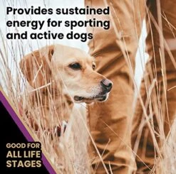 Victor Super Premium Dog Food – Professional Dry Dog Food – Super Premium Dog Food With 26% Protein, Gluten Free - For High Energy And Active Dogs & Puppies, 40lbs -Zoo Shop 51QKid6H5xL