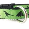 Dinosaur Dog Collar, Caninedesign, Green, T-Rex, Stegosaurus, Triceratops, 1 Inch Wide, Adjustable, Nylon, Medium And Large (Medium 13-19")