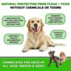 Flea And Tick Prevention For Dogs Chewables - Made In USA - Natural Flea And Tick Supplement For Dogs Chews- Oral Flea Pills For Dogs - No Mess | No Collars - All Breeds And Ages - Tasty Soft Tablets -Zoo Shop 51Qn661SmVL
