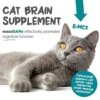 Maxxipaws MaxxiSAMe Advanced SAM-e Liver And Cognitive Supplement For Cats Given With Food, Powder 3.2 Oz 2 Maxxipaws MaxxiSAMe Advanced SAM-e Liver And Cognitive Supplement For Cats Given With Food, Powder 3.2 Oz -Zoo Shop 51QnSY3R7LL