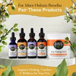 EARTH ANIMAL Herbal Remedies (Urinary & Kidney Relief, 2 Oz) -Zoo Shop 51Qrs6xHqKL