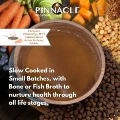 Pinnacle Trout & Pumpkin Dry Dog Food 4 Lb, Infused With Broth -Zoo Shop 51QrwUYU9vL