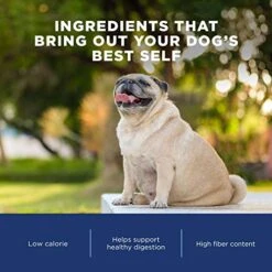 Natural Balance Fat Dogs Low Calorie Dry Dog Food Chicken Meal, Salmon Meal, Garbanzo Beans, Peas & Oatmeal, 15 Pounds (Packaging May Vary) -Zoo Shop 51R1gQkD3EL 1