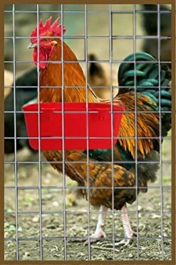 ORIBUKI 5 Pack Cage Cups Chicken Birds Feeder Water Bowl 25 OZ Rabbit Feeding Watering Dish For Travel Carrier Cat Puppy Food Dispenser Hanging Wire Cages Treats Box Seed Drinking Coop Cup Birdbath -Zoo Shop 51R5KDwn20L