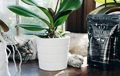 Lexelium Life-Optim Terminal Illness Support Blend For Dogs And Cats | 100% Natural Supplement Powder | Designed To Extend And Improve Quality Of Life | 200 Gram Powder Bag 5 Lexelium Life-Optim Terminal Illness Support Blend For Dogs And Cats | 100% Natural Supplement Powder | Designed To Extend And Improve Quality Of Life | 200 Gram Powder Bag - Image 3