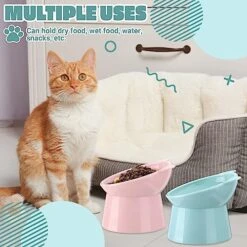 Zhehao 2 Pieces Raised Cat Bowl Tilted 15 Degrees Elevated Cat Food And Water Bowls Set Anti Vomit Dog Kitten Food Dishes Pet Feeder For Cats And Small Dogs (Green, Pink) -Zoo Shop 51RCDL7sZGL