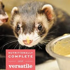 Oxbow Animal Health Critical Care, Carnivore, 70 Gram Bag -Zoo Shop 51RT8ca0PyL