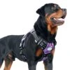 Auroth Tactical Dog Harness For Small Medium Large Dogs No Pull Adjustable Pet Harness Reflective K9 Working Training Easy Control Pet Vest Military Service Dog Harnesses (L, Purple Camo) -Zoo Shop 51RcqFBRCmL