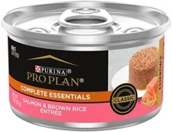 Purina Pro Plan Pate Wet Cat Food, COMPLETE ESSENTIALS Salmon & Brown Rice Entree - (24) 5.5 Oz. Cans -Zoo Shop 51RgYRRAB2L. AC