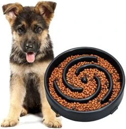 JASGOOD Slow Feeder Dogs Bowl For Large Dogs,Anti-Gulping Pet Slower Food Feeding Bowls Stop Bloat,Preventing Choking Healthy Design Dogs Bowl -Zoo Shop 51S4ixLRjrL. AC