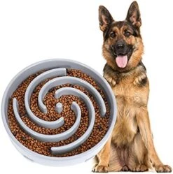 JASGOOD Slow Feeder Dogs Bowl For Large Dogs,Anti-Gulping Pet Slower Food Feeding Bowls Stop Bloat,Preventing Choking Healthy Design Dogs Bowl -Zoo Shop 51SWCuSjwfL. AC