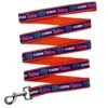 NCAA PET Leash Florida Gators Dog Leash, Large Collegiate Team Leash For Dogs & Cats. A Sporty, Shiny & Colorful Cat Leash & Dog Leash Licensed By The College -Zoo Shop 51Sf0BwCouL