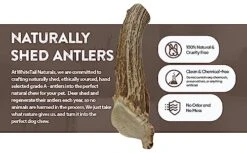 WhiteTail Naturals | Premium Deer Antlers For Dogs (Large) | All Natural Antler Dog Chew | Naturally Shed, Long Lasting Chew Bone, Made In USA (Large (Best For Dogs 40-60 Lbs)) -Zoo Shop 51Sf6iv8PKL