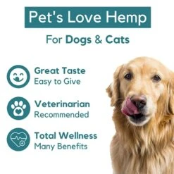 PB Pets Hemp Oil For Dogs And Cats - Organically Grown - Made In USA - Helps With Anxiety, Hip & Joint, Pain, Arthritis, And Stress - With Omega Complex (1-Pack) -Zoo Shop 51SmFfRMjoS