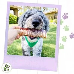 Nature Gnaws Beef Trachea For Dogs - Premium Natural Beef Bones - Simple Single Ingredient Crunchy Dog Chew Treats - Rawhide Free 6 Count -Zoo Shop 51SoXgXqQvL