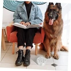 10pcs Tools Vessel Tools Threading Tool Dog Scent Training Kit Dog Scent Work Container Nose Work Dog Training Kit Dogs Scent Training Tool Dog Training Aroma Case Suite -Zoo Shop 51SswXrXd1L