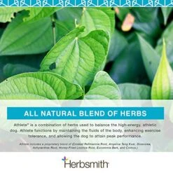 Herbsmith Athlete – Canine Endurance Supplement For Working And Agility Dogs – For The Canine Athlete – 500g Powder -Zoo Shop 51T7W4k0HbL
