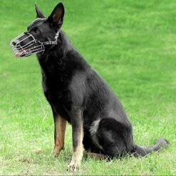 BronzeDog German Shepherd Dog Muzzle Wire Metal Basket Adjustable Leather Muzzle For Large Dogs (Size M) -Zoo Shop 51T9dmAvTVL