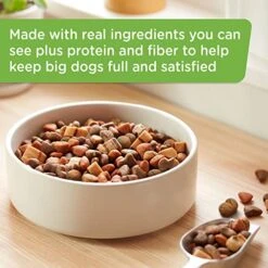 Rachael Ray Nutrish Big Life Dry Dog Food, Savory Chicken, Barley & Veggies, 40 Pounds -Zoo Shop 51TCNGWf9aL