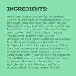 KARMA BALANCED NUTRITION Plant-First Recipe, Adult Natural Dry Dog Food With Chicken, 4 Lb. Bag -Zoo Shop 51TJmw4xXxL