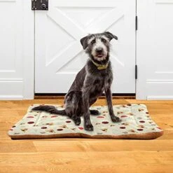 Food Pizza Mushroom Dog Bed Cat Bed Soft Comfortable Pet Bed Non-Slip Calming Kennel Pad For Small Medium Large Dogs Cats 2116483 -Zoo Shop 51TWw0oE3yL