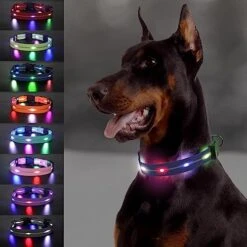 Joytale Light Up Dog Collars Rechargeable, High Visibility LED Dog Collar for Pet Night Walking, 3 Flash Modes, Rainproof PVC Glow Collar Adjustable for Small Medium Large Dogs, Teal, L -Zoo Shop 51TcFppI6gL. AC