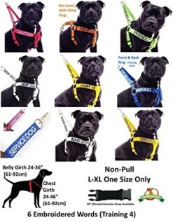 DO NOT Feed (Dog Is On A Diet/Has Food Allergies) Purple Colour Coded S-M L-XL Dog Collars Prevents Accidents By Warning Others Of Your Dog In Advance (L-XL) -Zoo Shop 51U8FTYYuGL