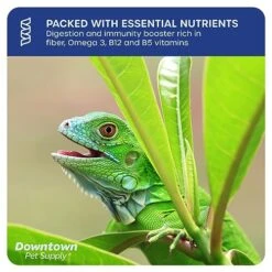 Downtown Pet Supply 2 LB Dried Mealworms For Wild Birds, Poultry, Reptiles, And Small Mammals Rich In Vitamin B12, B5, Protein, Fiber, Omega 3 Fatty Acids - Great As Mealworms For Chicken -Zoo Shop 51U9RnceciL