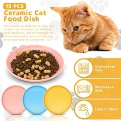 12 Pieces Ceramic Shallow Cat Food Dish 6 Inch Whisker Fatigue Free Cat Bowl Cat Dishes Cat Wet Feeding Bowls Wide And Small Pet Feeding Plates Dishwasher Safe For Kittens And Short Legged Cat -Zoo Shop 51UBvGnFKbL