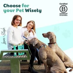 Green Lipped Mussels For Dogs - Human Grade Dog Treats - 100% Natural, Freeze Dried Snack With Omega-3, Glucosamine & Chondroitin For Healthy Coat & Joint Support - 50g/1.76oz -Zoo Shop 51UDHFtqq6L