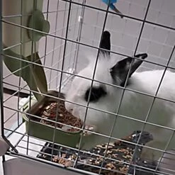 MUYG Rabbit Hanging Automatic Feeder Pets Food Bowl For Cages Pet Cage Gravity Feeder Bunny Removable​ Food Dispense For Small Animals Puppies Chinchilla (Green) -Zoo Shop 51UONktXW6L