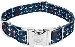 Country Brook Petz - Premium Caribbean Sunset Dog Collar - Summer Breeze Collection With 5 Sunny Designs (1 Inch, Large) -Zoo Shop 51UUaUP7APL. AC 2