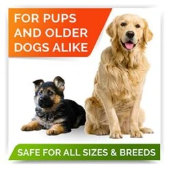 Fish Oil Omega 3 Treats For Dogs - Allergy And Itch Relief - Skin And Coat Supplement - Joint Health - Wild Alaskan Salmon Oil - Shedding, Itchy Skin Relief - Omega 3 6 9 - EPA & DHA - 180 Treats -Zoo Shop 51UV3jZiwwL