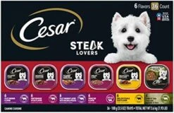 CESAR Adult Soft Wet Dog Food Steak Lovers Variety Pack With Real Meat, (36) 3.5 Oz. Trays 25 CESAR Adult Soft Wet Dog Food Steak Lovers Variety Pack With Real Meat, (36) 3.5 Oz. Trays -Zoo Shop 51UX OZx YL. AC