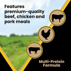 Victor Super Premium Dog Food – Multi-Pro Dry Dog Food – Gluten Free Dog Food With Beef, Chicken And Pork Protein For Normally Active Dogs – All Breeds And All Life Stages, 5 Lb