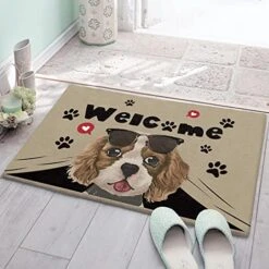 Cute Dog With Sunglasses Doormat Area Rug Non Slip Non-Shedding Absorbent Living Room Entryway Bedroom Floor Mat 24"x35", Anti-Skid Soft Fluffy Door Mat Indoor Home Decor, Pet Paws With Word Welcome -Zoo Shop 51UcfSBeJxL