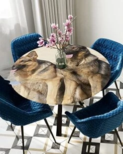 Aomike Round Fitted Tablecloth, Modern Black Yellow Pet Two Dogs Yellow Desert Elastic Edge Tablecloth Waterproof Wipeable Table Cover For Dinning Fits Tables Up To 55" - 60" -Zoo Shop 51Uqbi3y0hL